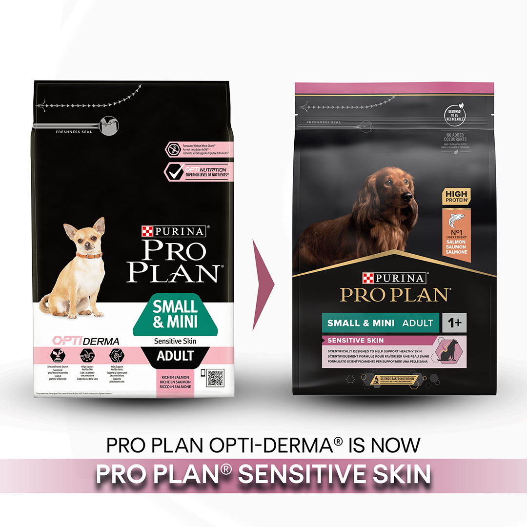 Purina pro plan hot sale dog food salmon